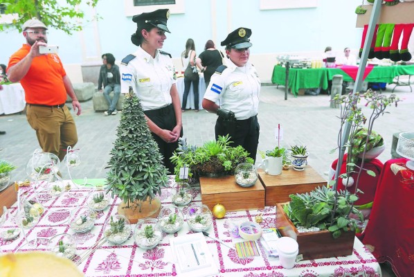 Honduras: La Navidad ya se vive en la capital