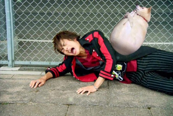 Ni los perros se salvan de la creatividad de las personas con el Photoshop