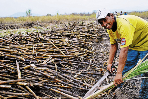 Zona sur afianza su poderío con las exportaciones agrícolas