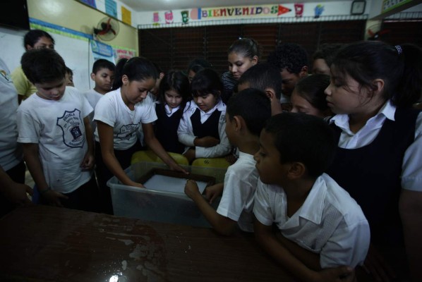 Alumnos aprenden a reciclar papel