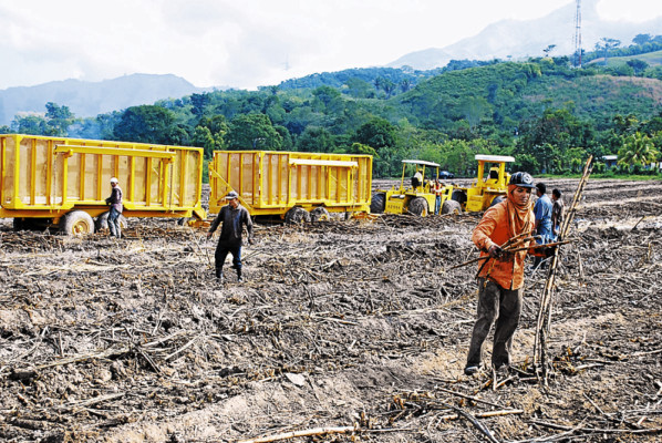 Zona sur afianza su poderío con las exportaciones agrícolas