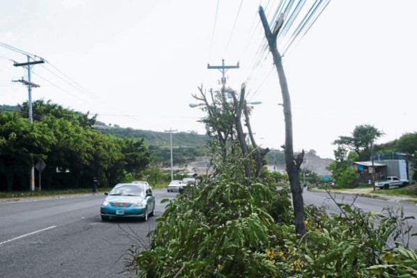 Sectores sin energía eléctrica este viernes
