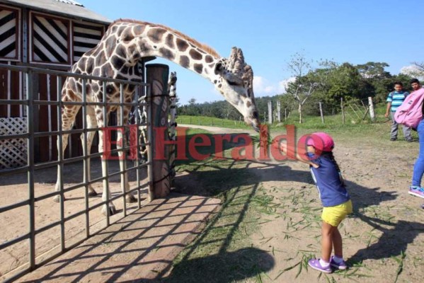 Cómo aprovechar al máximo este feriado del 15 de septiembre