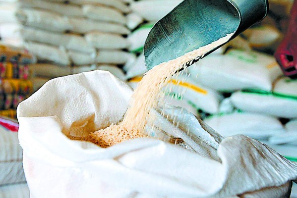Productores suplirán 50% de la demanda de arroz