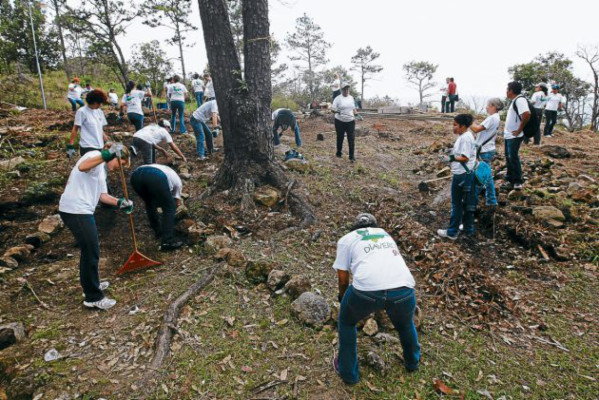 Cooperantes dedican un día de trabajo en zoológico capitalino