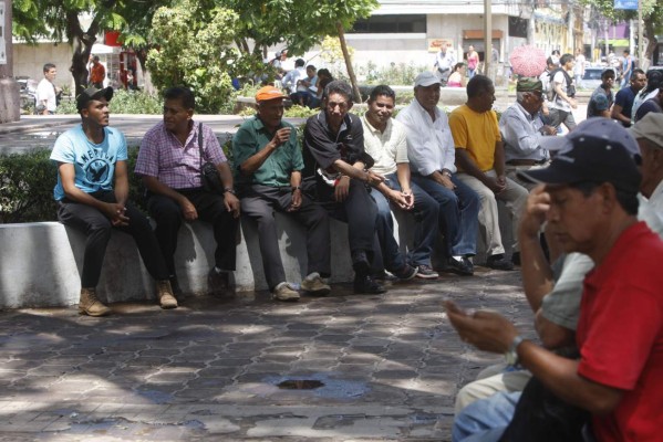 Altas expectativas generan ferias de empleo