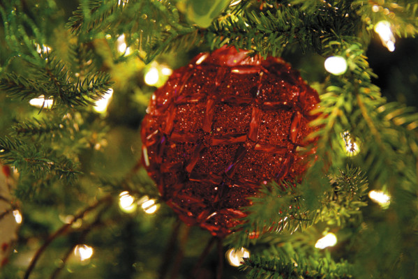 ¡A vivir una Navidad tricolor!