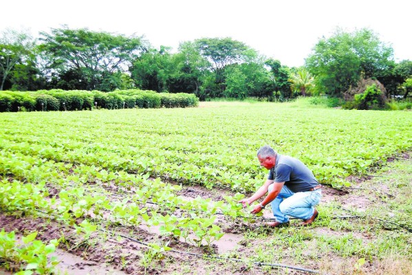 Presentan plan para desarrollar zona económica de Palmerola