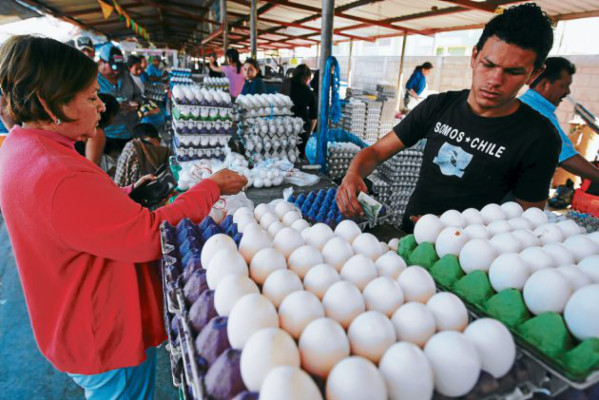 Sube cuatro lempiras el cartón de huevos