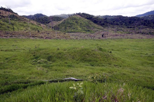 NatGeo confirma hallazgo de 'Ciudad Blanca'
