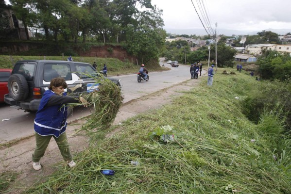 Intervienen predios baldíos en colonia Hato de Enmedio