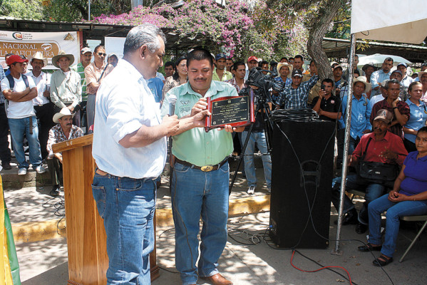 Cafetales de El Paraíso están propensos a la roya