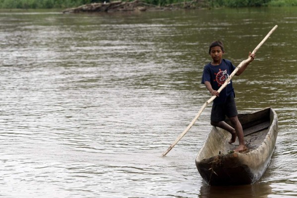 La Mosquitia hondureña, imponente escenario biológico