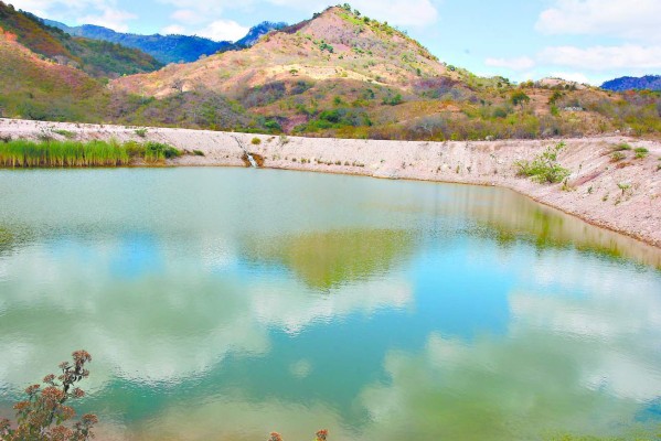 Productores autorregulan uso del agua para el riego de sus cultivos