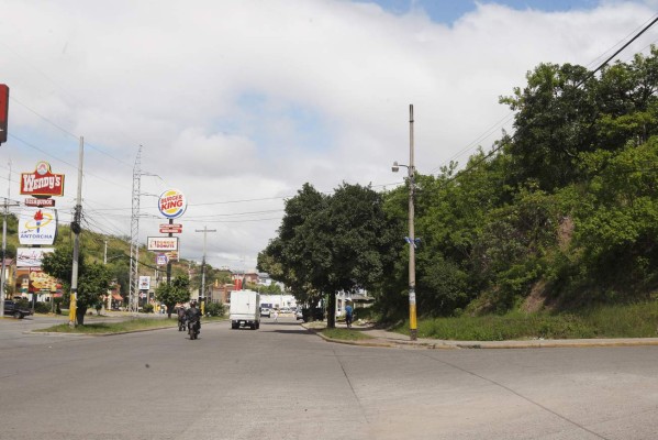 Taxis no saldrán de circulación en los troncales del Trans 450
