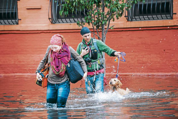 Estadounidenses resisten con valor secuelas de Sandy