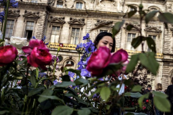 La rosa, en busca del aroma perdido