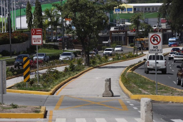 Taxis no saldrán de circulación en los troncales del Trans 450