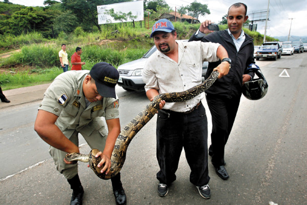 Rosy Walther recibe a boa capturada