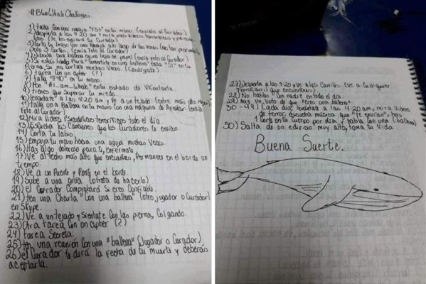 Sudamérica en alerta por el juego 'Ballena azul'