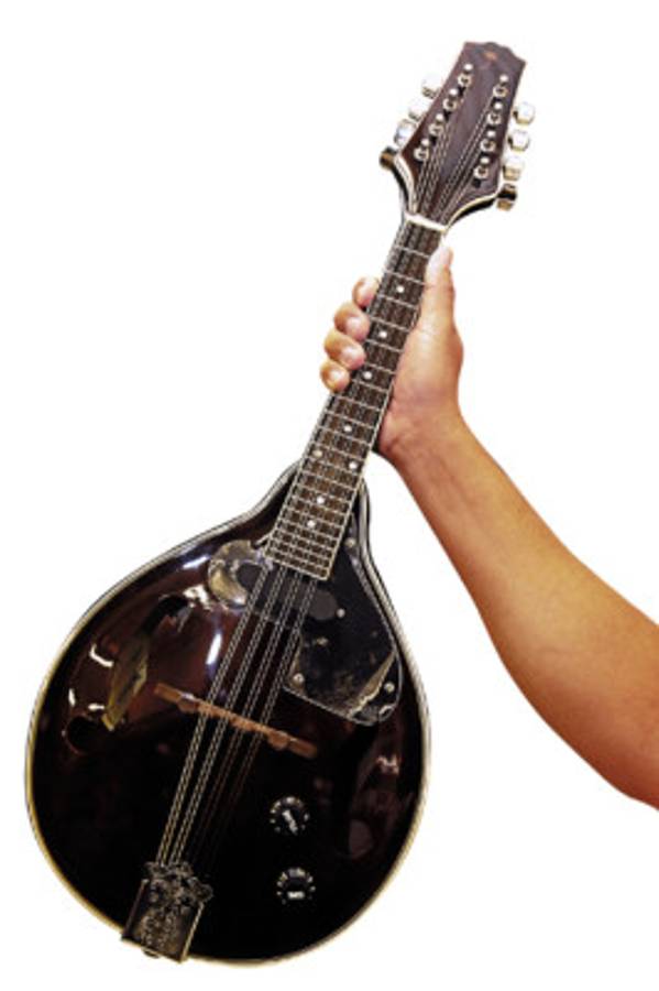 Sonido potente y agradable al oído