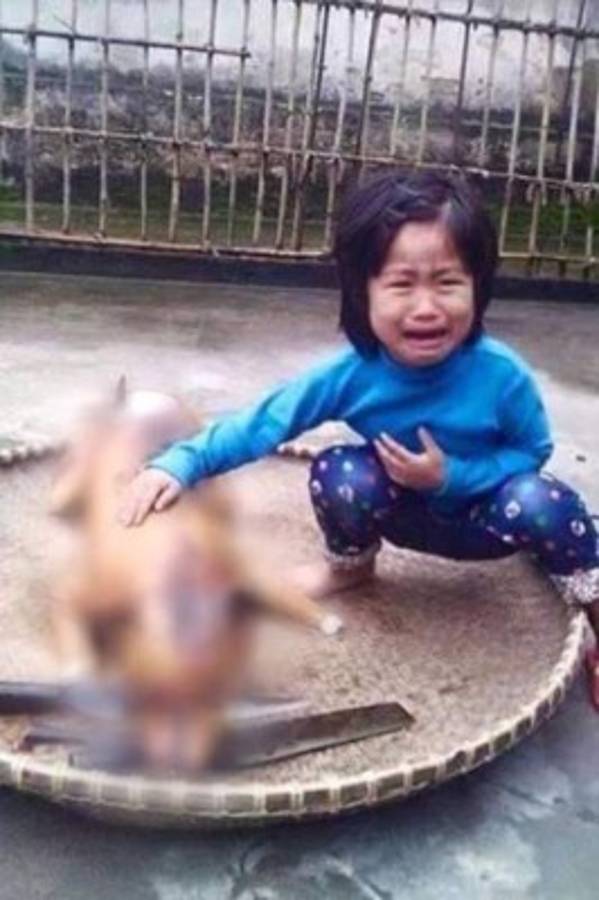 Perdió a su perro y lo reconoce cocinado en un restaurante.