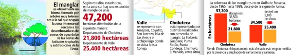 Honduras: Depredación de manglares