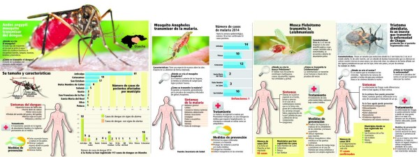 Cuatro vectores acechan salud de vecinos de Olancho