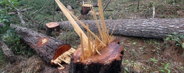 Sequía y ola de calor generará la devastación de la principal fuente de agua
