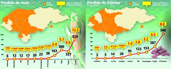 Honduras pierde granos por fenómenos