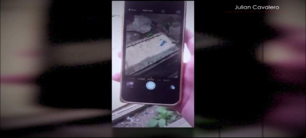 El misterio de una tenebrosa imagen en un Iphone