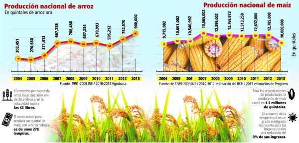 Baja producción persiste desde hace dos décadas