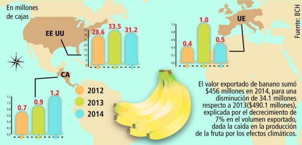 Hongo puede afectar exportaciones