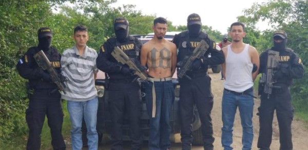 Decomisos, allanamientos y capturas: los resultados de la Operación Júpiter III (FOTOS)