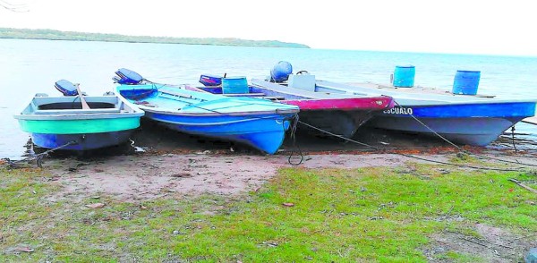 Decomisan 691 kilos de cocaína en La Mosquitia