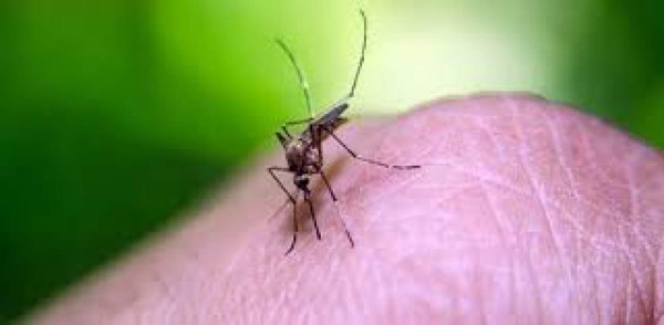 Estas han sido las 20 pandemias más letales de la historia  