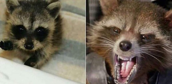 Fotos: Así lucían los personajes de los Avengers cuando eran niños