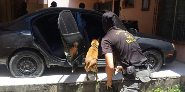Incautan droga durante allanamientos en San Pedro Sula