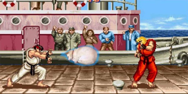 Ni los perros se salvan de la creatividad de las personas con el Photoshop