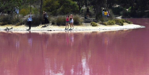 FOTOS: El extraño lago rosado que se ha convertido en un atractivo turístico en Australia