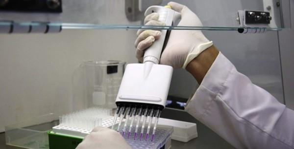 Identifican anticuerpos eficaces contra el zika en EEUU