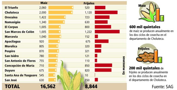 Producción de primera se pierde en un 60 por ciento en la zona sur