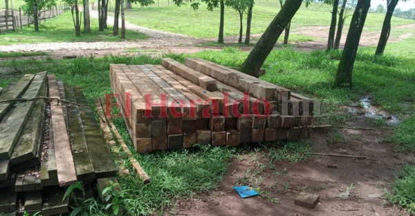 Acciones emprendidas para frenar construcción de carretera en pleno corazón de Biósfera del Río Plátano (FOTOS)