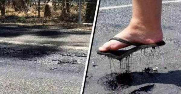 FOTOS: Huevos cocidos, llantas derretidas y animales muertos deja intensa ola de calor en Australia