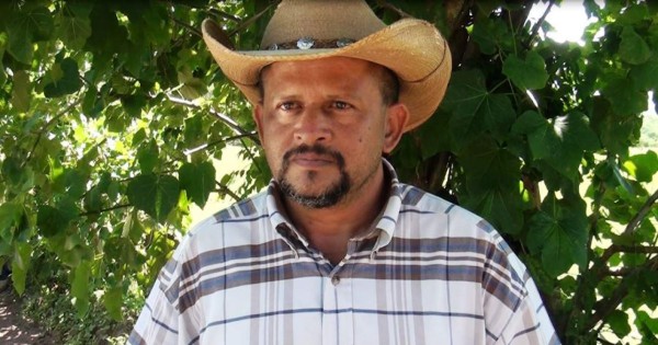 Pierden 800 manzanas de cultivos en Olancho&nbsp;&nbsp;&nbsp;