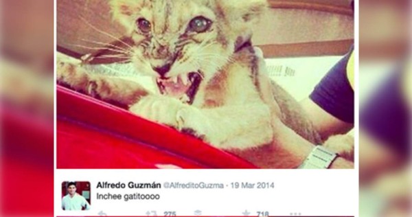 FOTOS: Mesas de dinero y hasta animales exóticos, así son los lujos del hijo de 'El Chapo' Guzmán