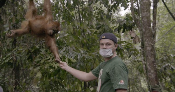 La cruzada ecológica de Leonardo DiCaprio