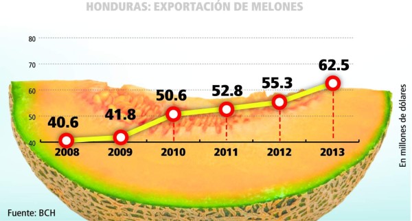 Melón hondureño llegará a nuevos mercados
