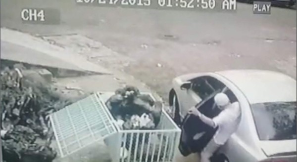 VIDEO capta cómo banda comete asaltos en la capital de Honduras