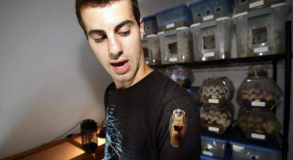 Joven colecciona cucarachas